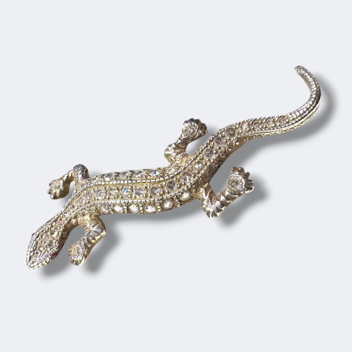 סלמנדרה תשוקה ניצחית