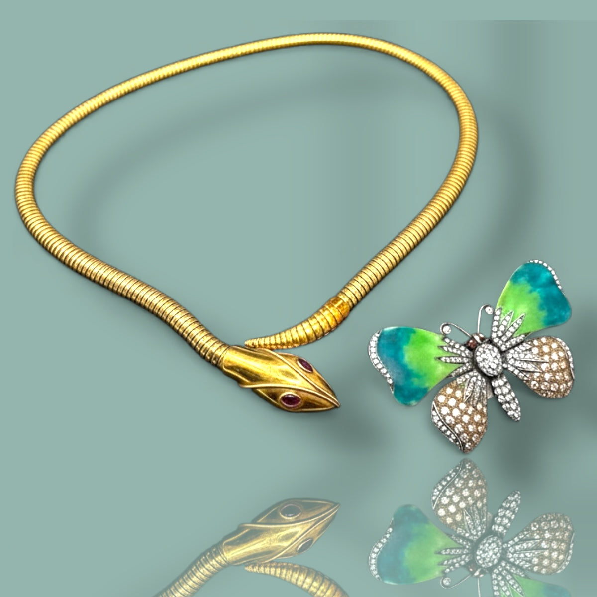 פרפר ונחש מטמורפוזה